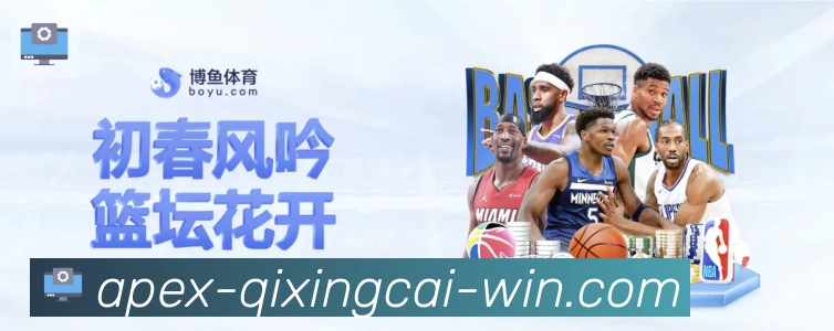 互动解说服务
