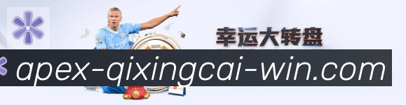 登录器